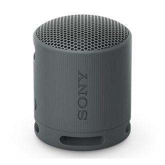 Sony SRSXB100H Wireless Speaker Grey