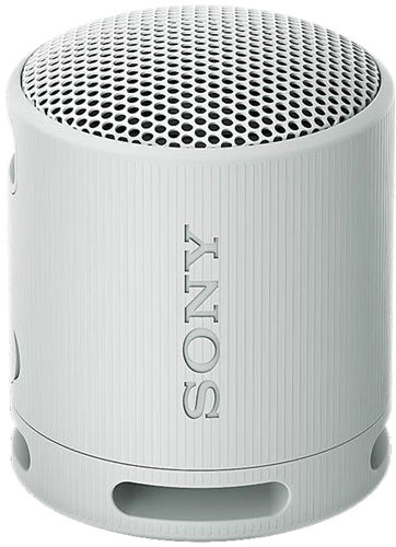 Sony SRSXB100H Wireless Speaker Grey