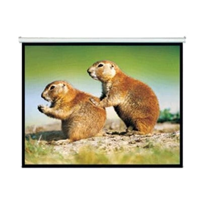 Brateck 150" 4:3 Pull Down Projector Screen Matte