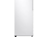 Samsung 1-Door Freezer 323L - White